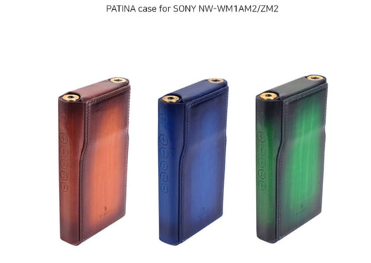 Dignis Artisan Series Patina Case for SONY WM1AM2 WM1ZM2 3 Colors