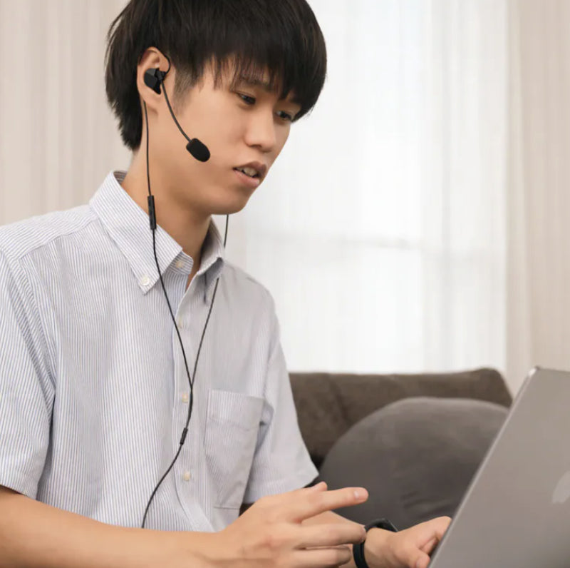 Final Audio VR3000 CM Boom Microphone Gaming Earphones with 3.5mm Plug