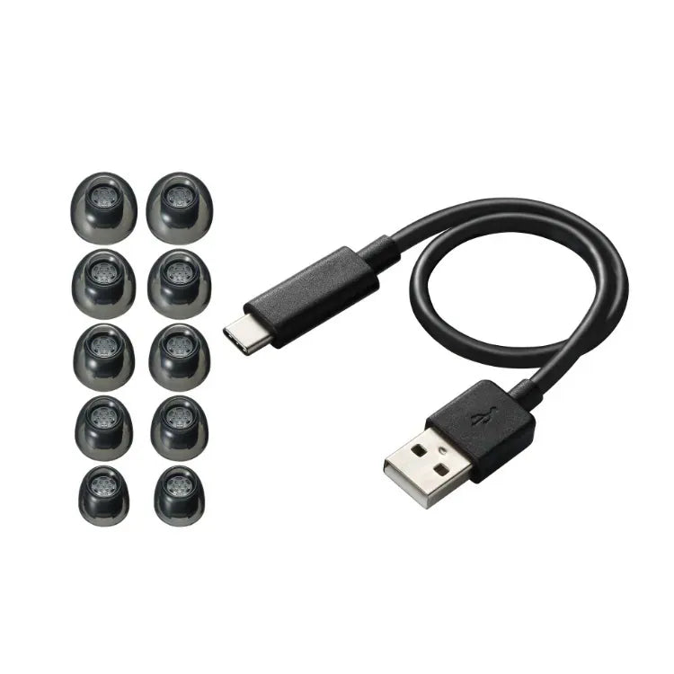 KENWOOD KH-CRZ90T Glass Core Wireless Earbuds | Hi-Res & ANC