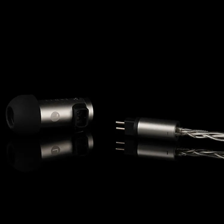 Final Audio S4000 Dynamic Driver In-Ear Monitor IEM Earphone Final Audio S4000 Dynamic Driver In-Ear Monitor IEM Earphone