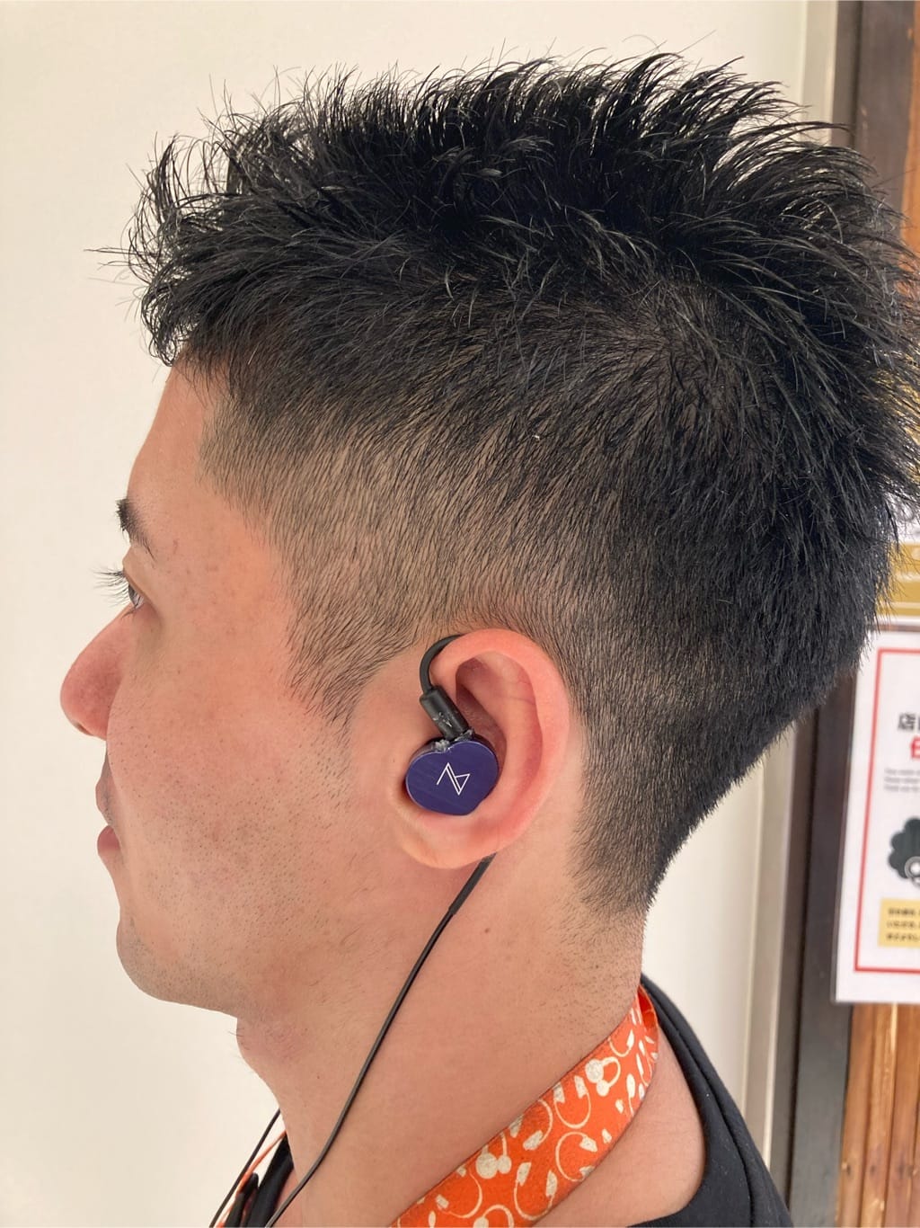 Maestraudio MA910SR Hybrid Driver In-Ear Monitor IER Earphone Pentaconn Ear 3.5mm Plug Made In Japan