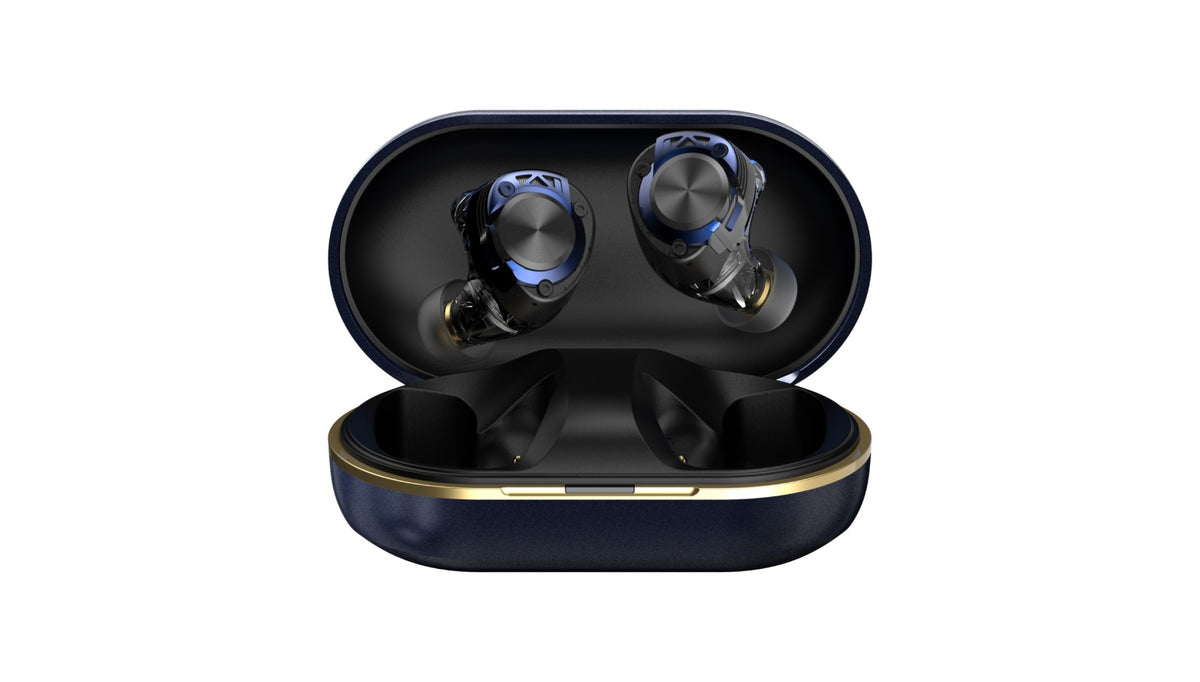 AVIOT TE-W2 True Wireless Earphones | Active Noise Cancelling & LDAC
