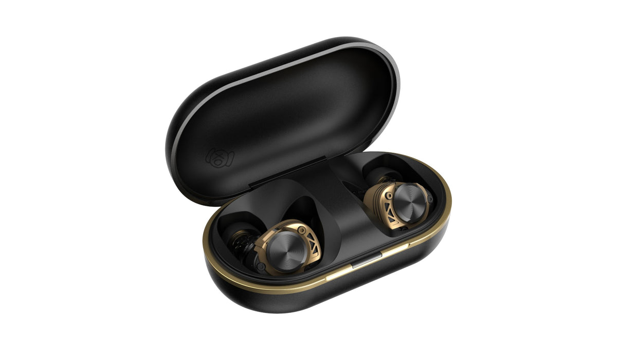 AVIOT TE-W2 True Wireless Earphones | Active Noise Cancelling & LDAC