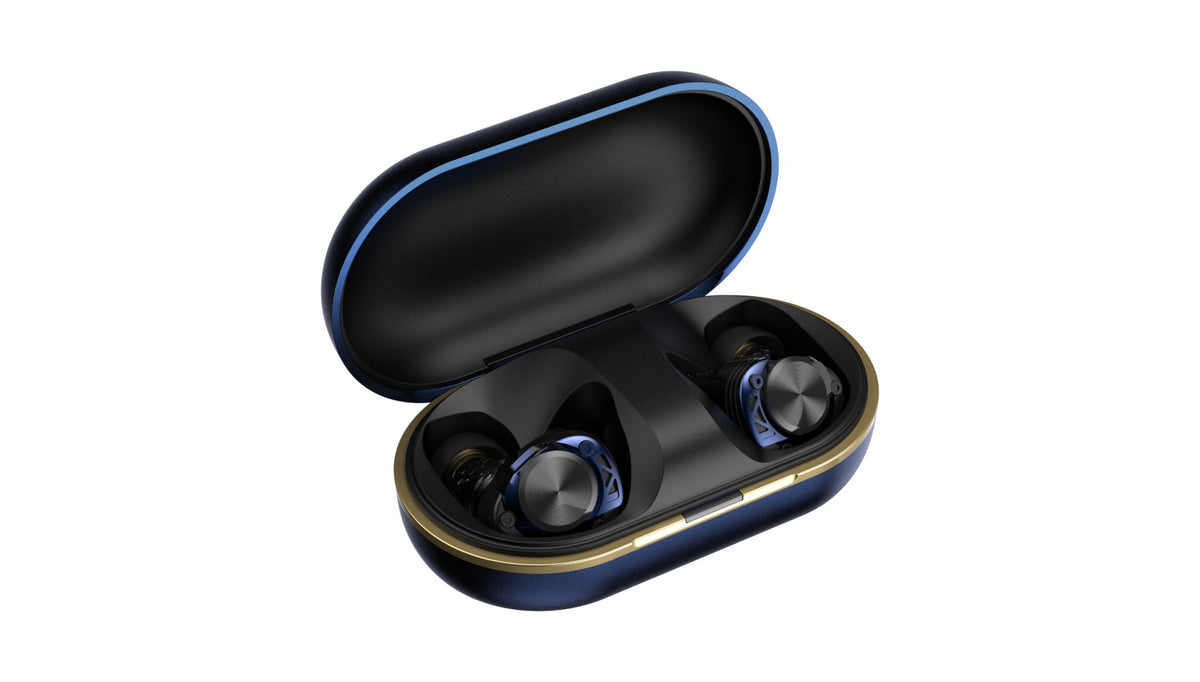 AVIOT TE-W2 True Wireless Earphones | Active Noise Cancelling & LDAC