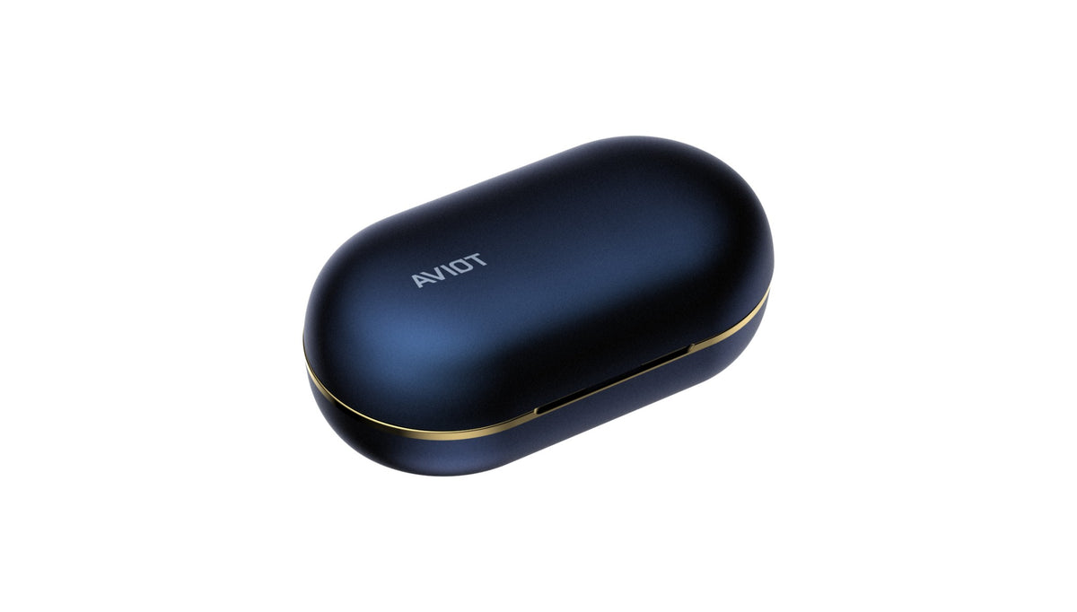 AVIOT TE-W2 True Wireless Earphones | Active Noise Cancelling & LDAC