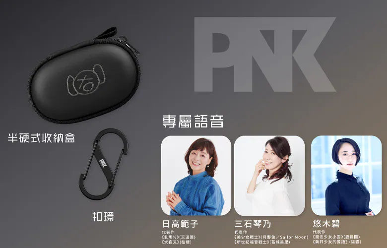 AVIOT TE-W2 True Wireless Earphones | Active Noise Cancelling & LDAC