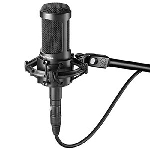 Audio-Technica AT2050 Multi-pattern Condenser Microphone (Black)