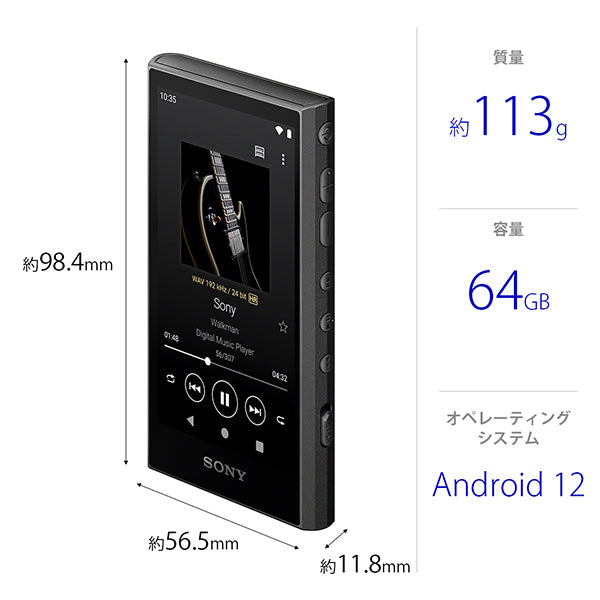 SONY NW-A306 Hi-Res Digital Audio Player DAP with 32 GB Internal